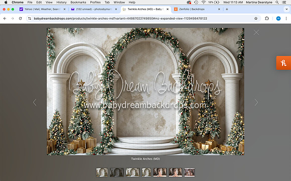 Screen Shot 2024-12-11 at 11.13.31 AM