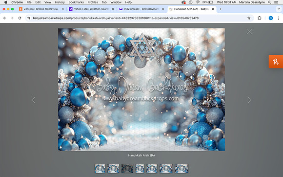 Screen Shot 2024-12-11 at 10.31.40 AM