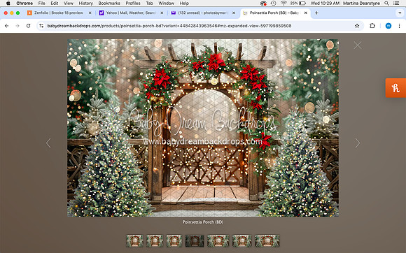 Screen Shot 2024-12-11 at 10.29.18 AM